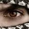 ������ ������� ���� �����